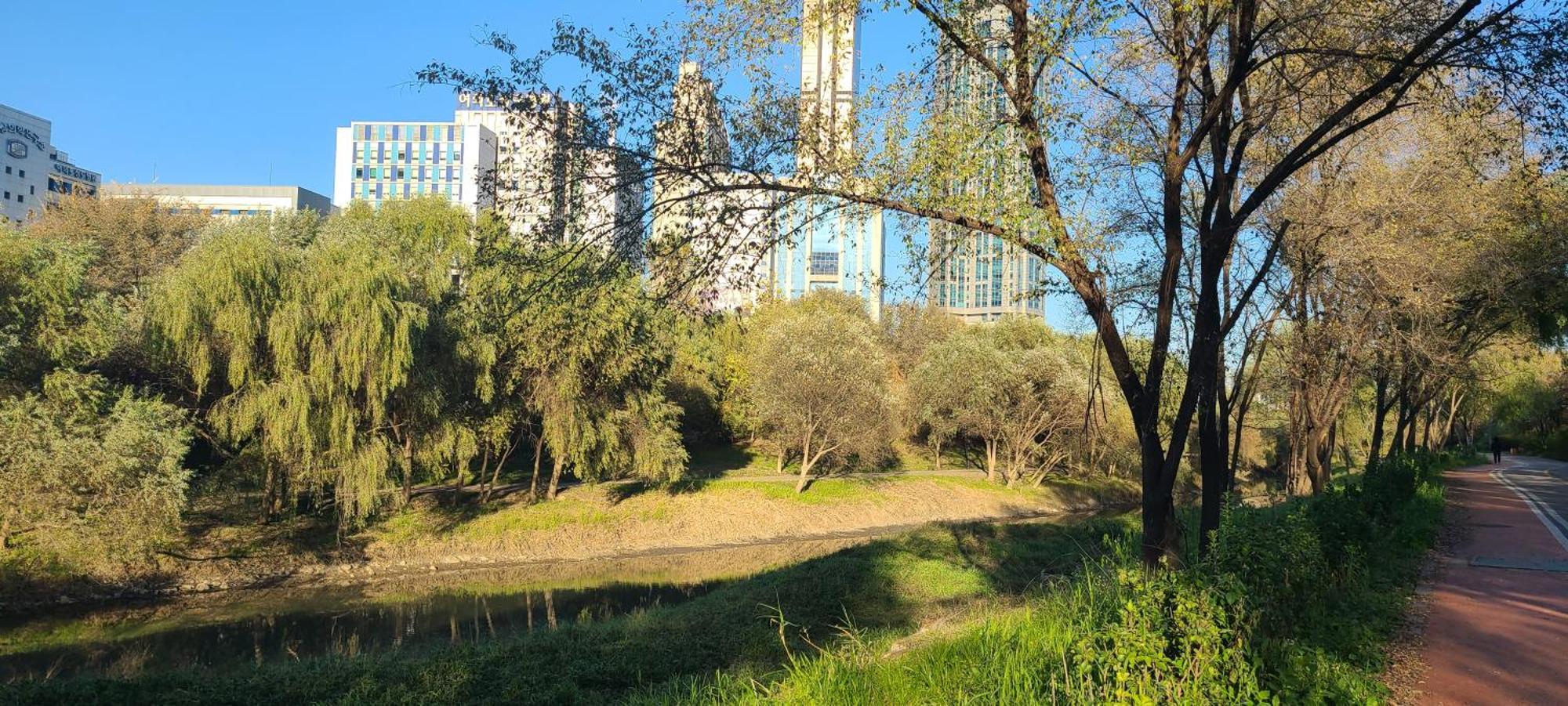 Yeouido Stay ソウル特別市 エクステリア 写真